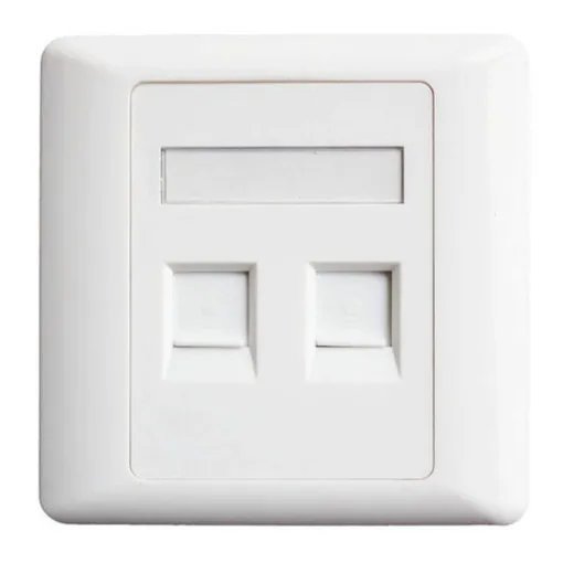 Face Plate 2port
